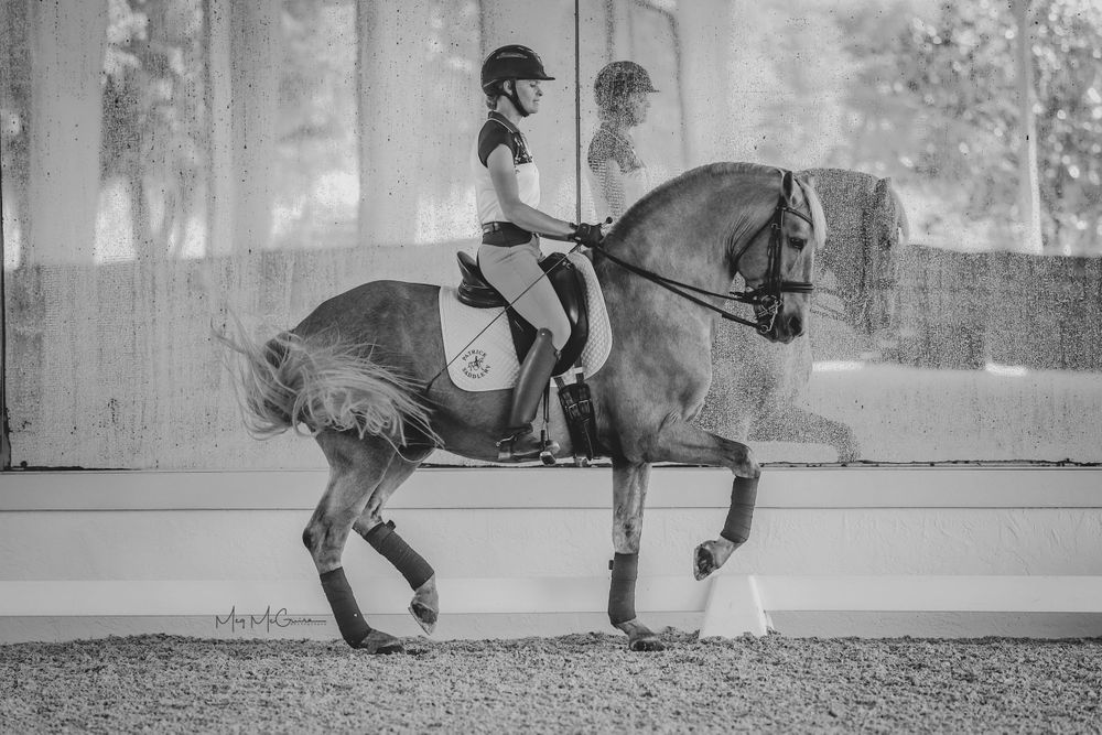 Melissa MacLaren Velix and Lusitano Stallion Barocco in piaffe © Meg McGuire Photography, Georgia Equine Photographer