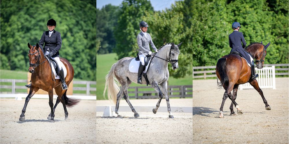 Chattahoochee Hills Dressage June 2020 © Meg McGuire Photography, Georgia Equine Photographer