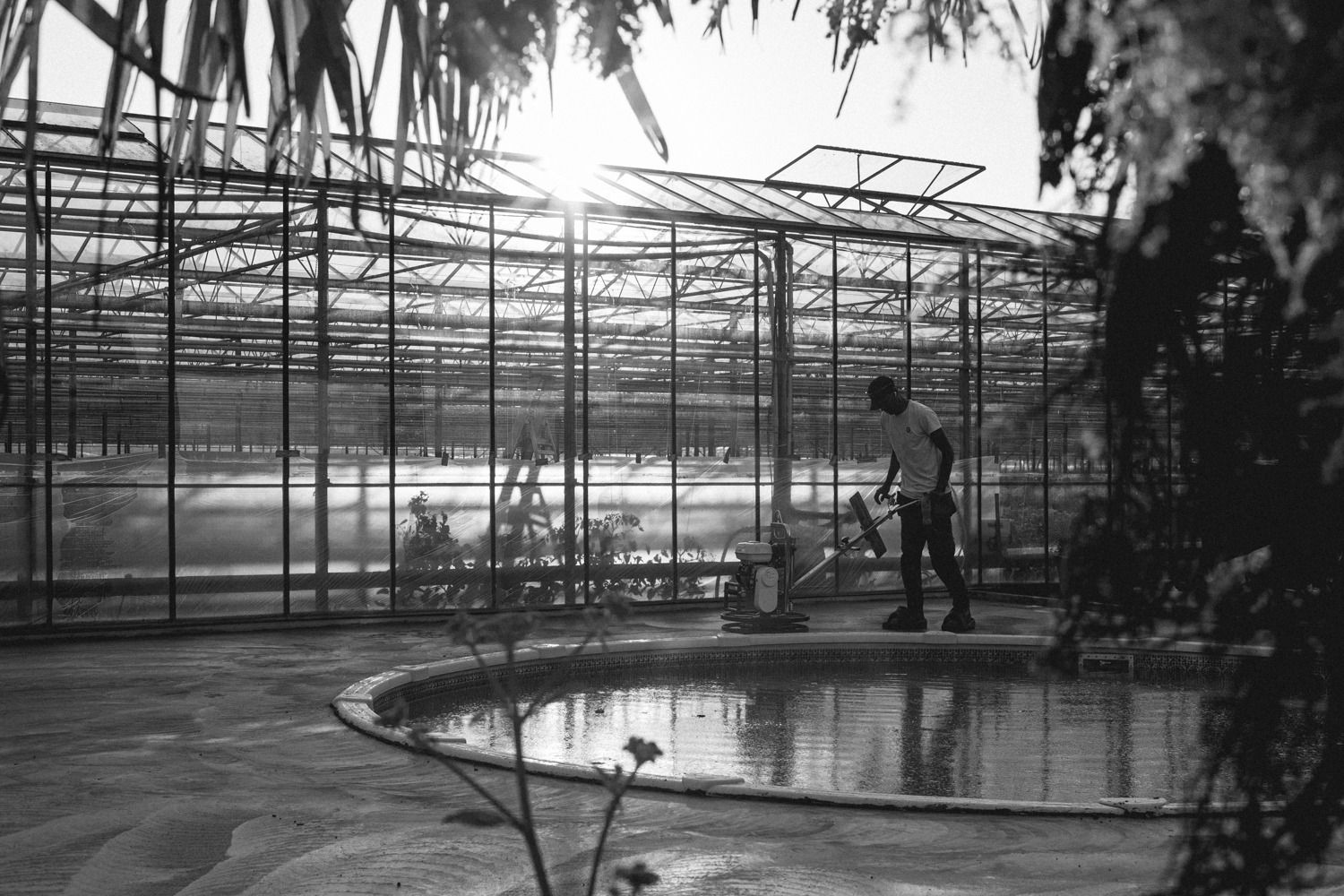 Large industrial greenhouse interior with curved pool structure and glass roof panels.