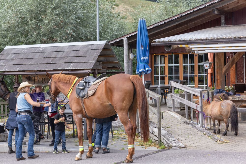 People gather around a saddled brown horse outside rustic barn building with mountains in background.