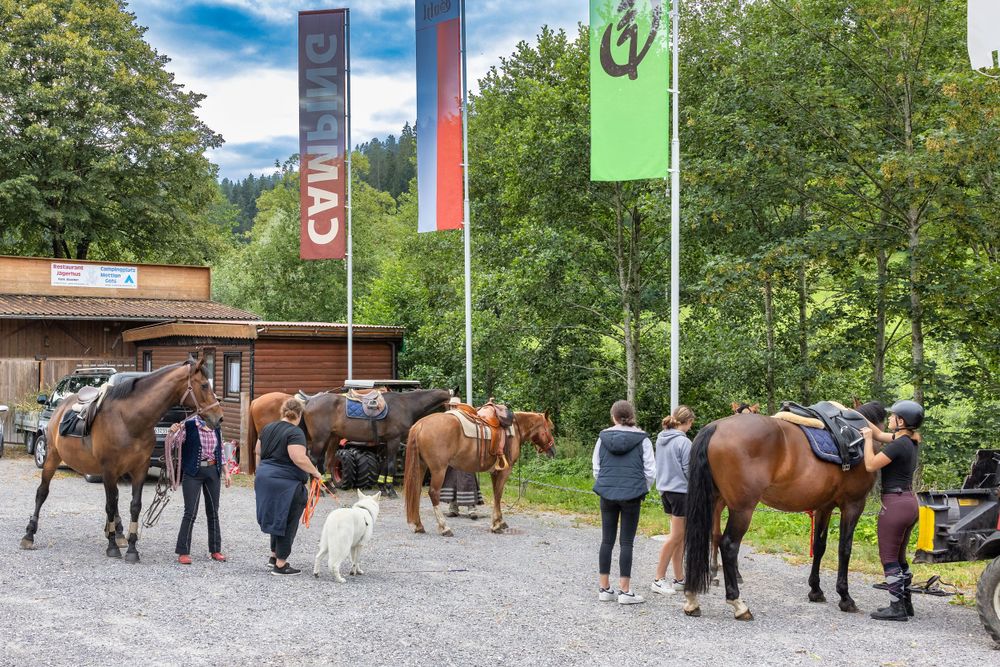 Group of people with horses gathered in outdoor area with flags and buildings visible.