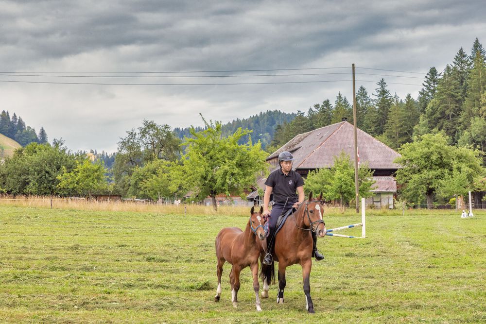 Person riding horseback through grassy field with mountains and gazebo in background.