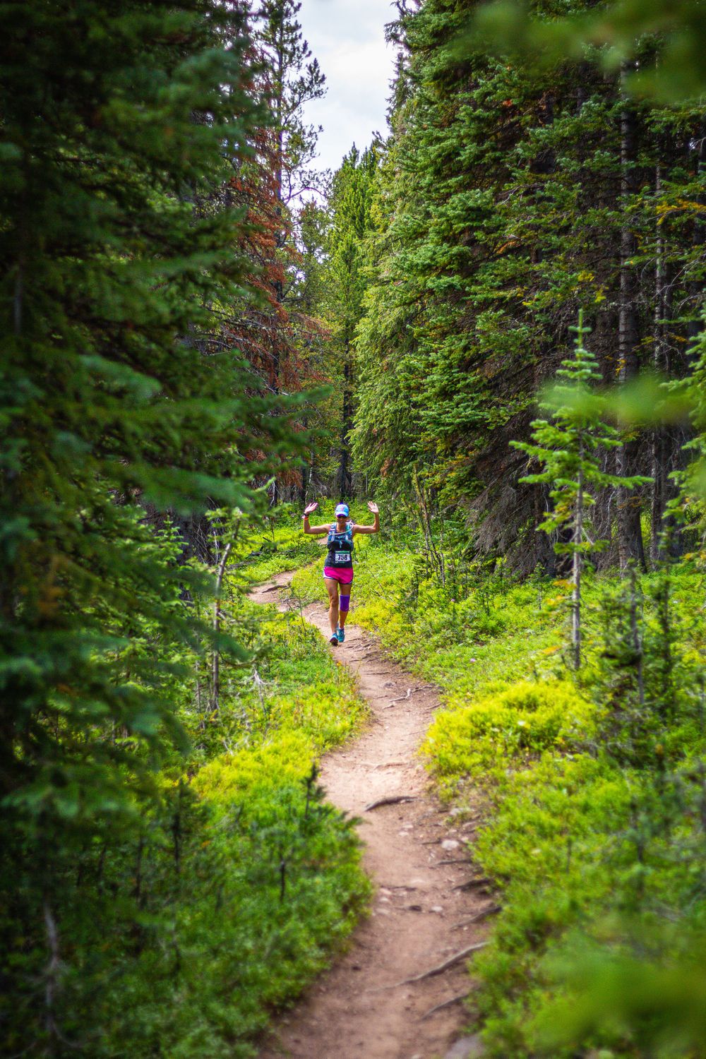 Trail runner on singletrack