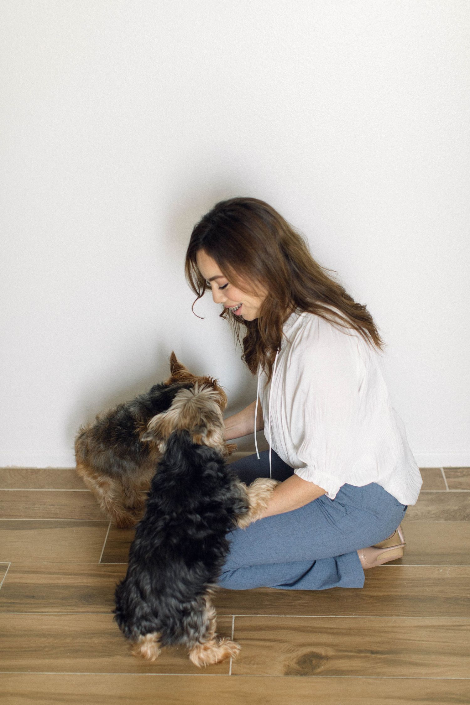 DOG PHOTOGRAPHY, YORKIE PHOTO