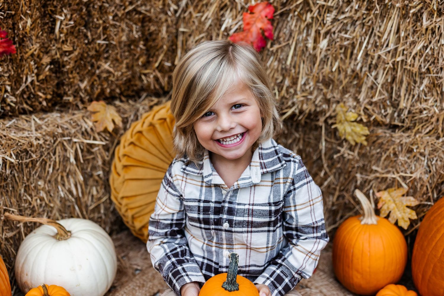 Fall photo session featuring white and orange pumpkins against rustic hay backdrop.
