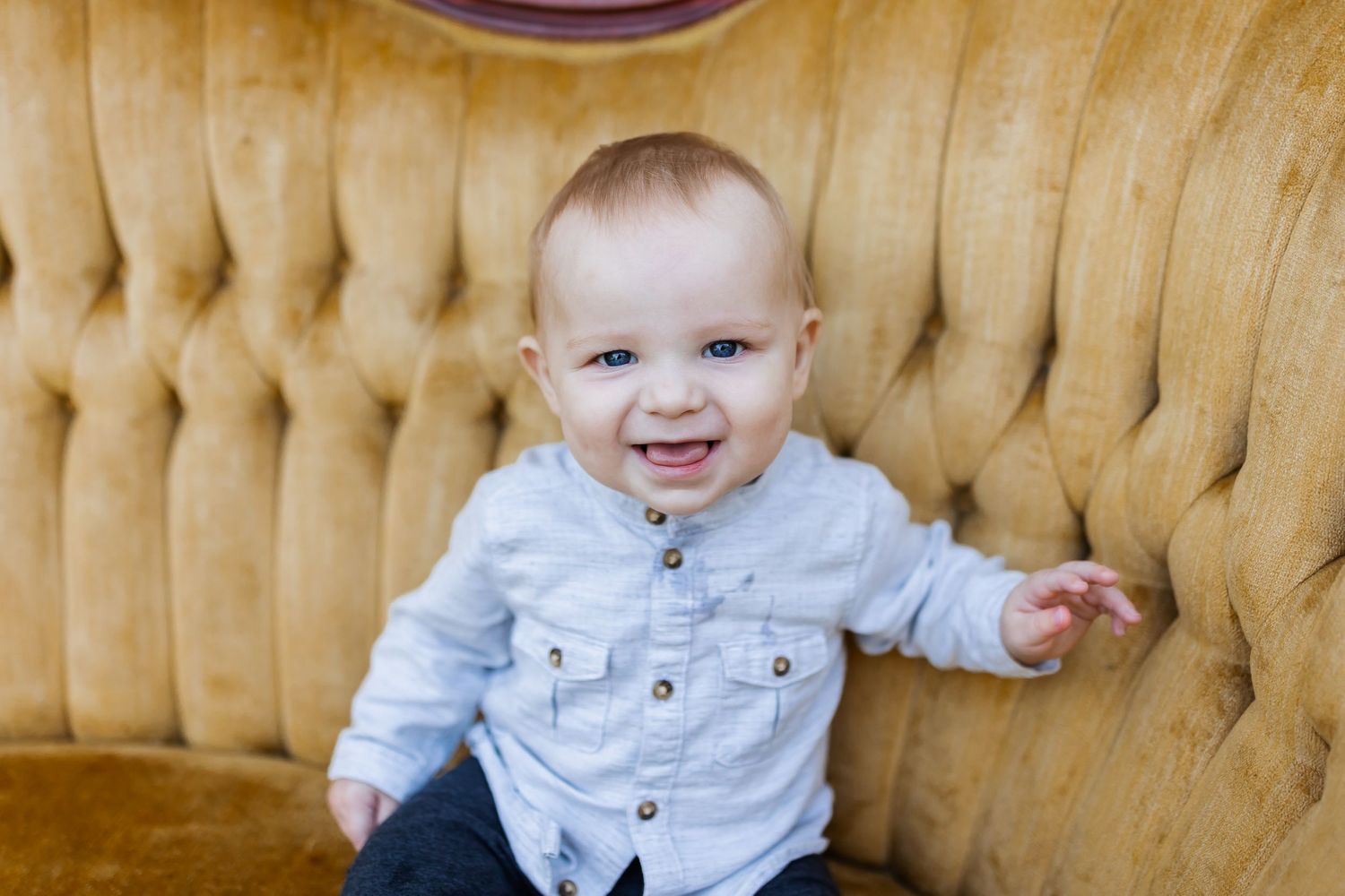 Elegant autumn portrait session on plush gold velvet sofa.