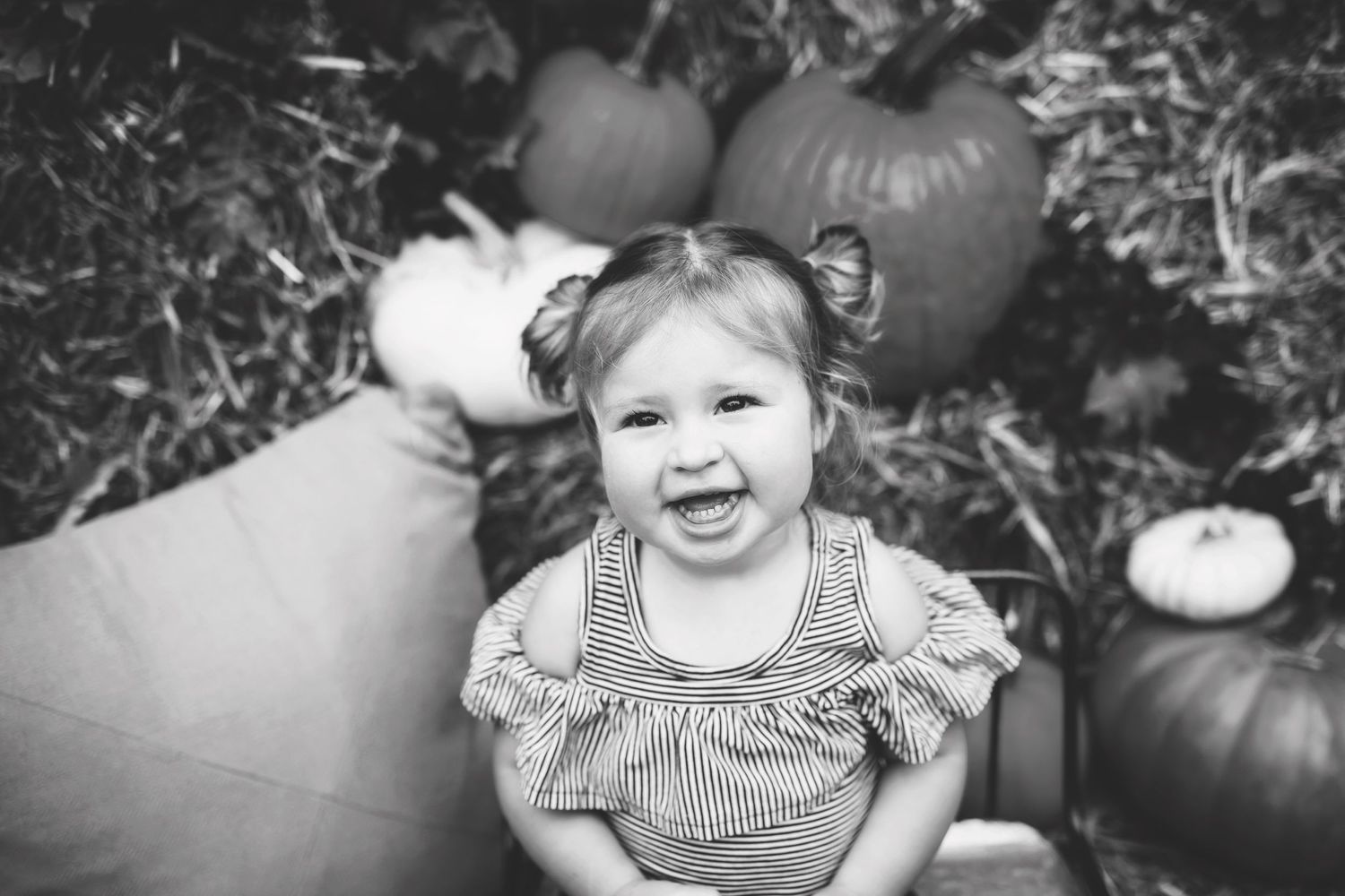 Autumn themed photo session setup with hay bales, pumpkins, and fall decor in rustic setting.