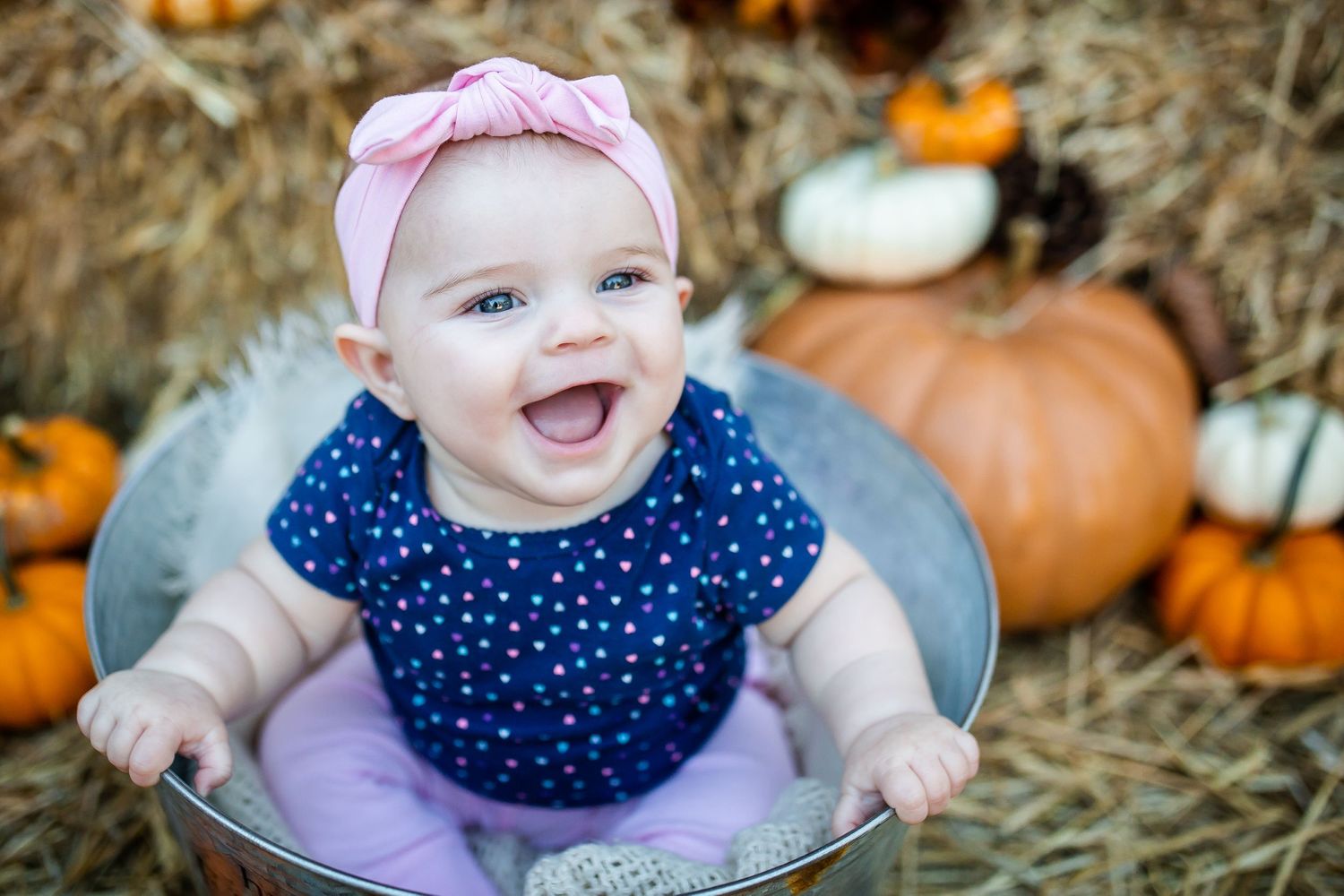 Baby in polka dot dress and pink hat poses with pumpkins for fall photos.