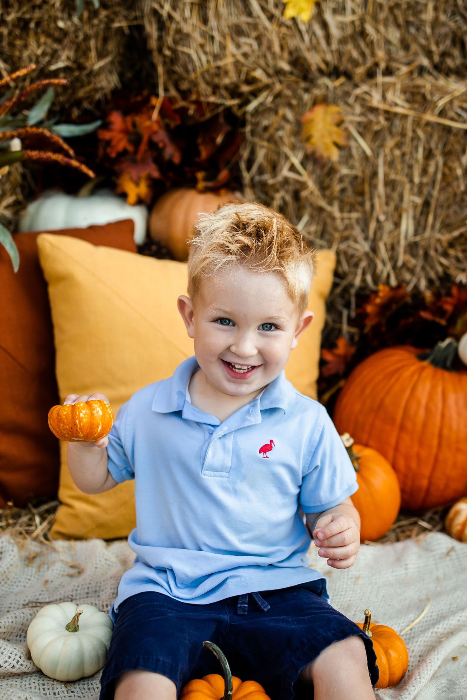 Autumn portrait session featuring small pumpkins and hay bales with yellow accents.