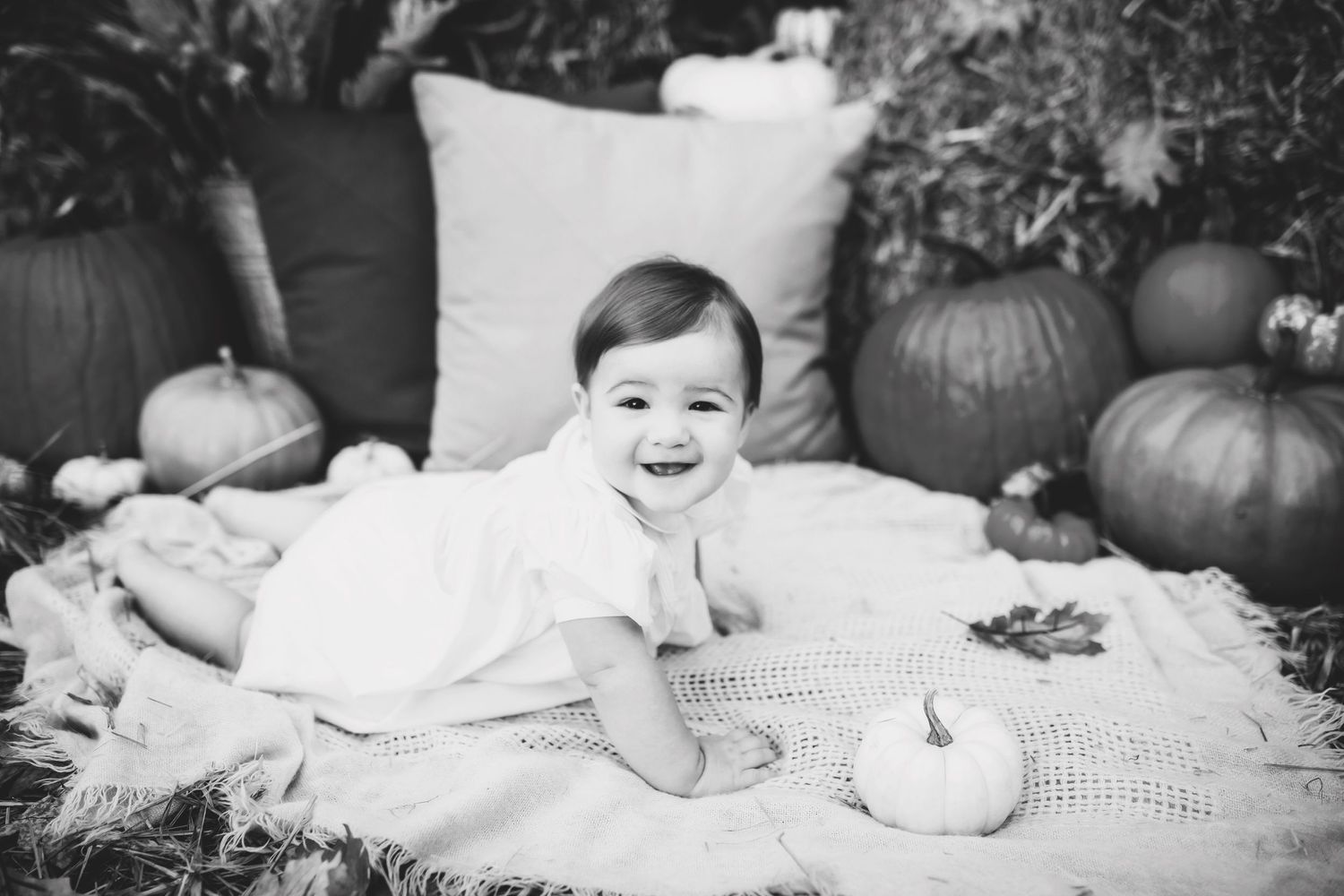 Fall mini photo session with rustic backdrop featuring white pumpkins and hay bales.