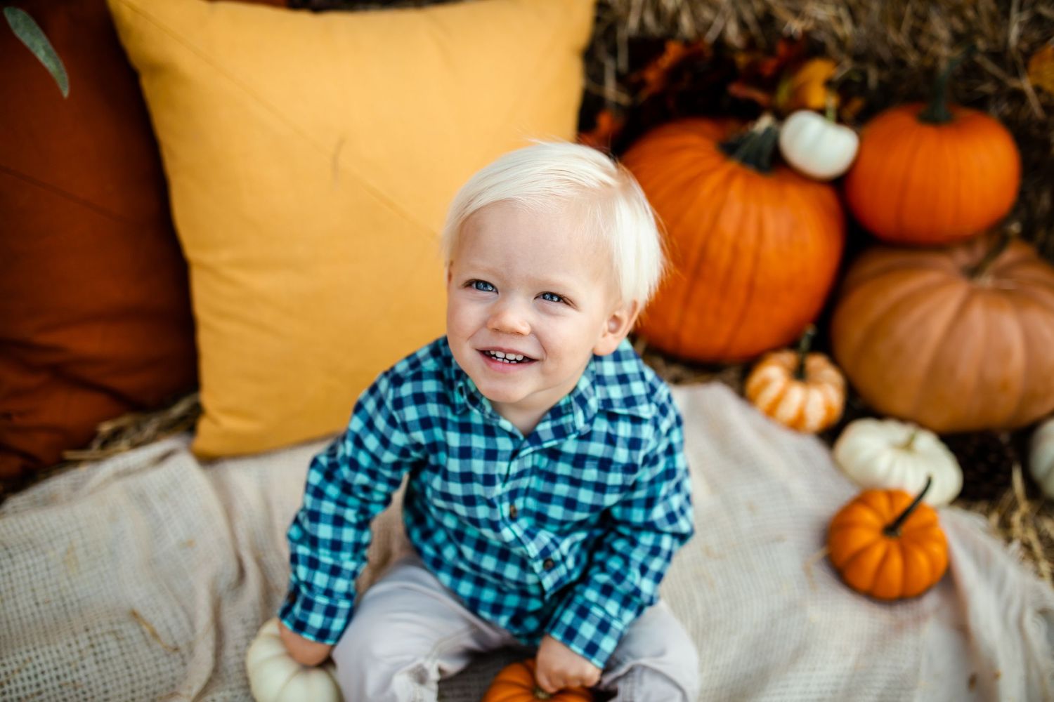 Fall portrait with plaid shirt against pumpkins and yellow pillow backdrop.
