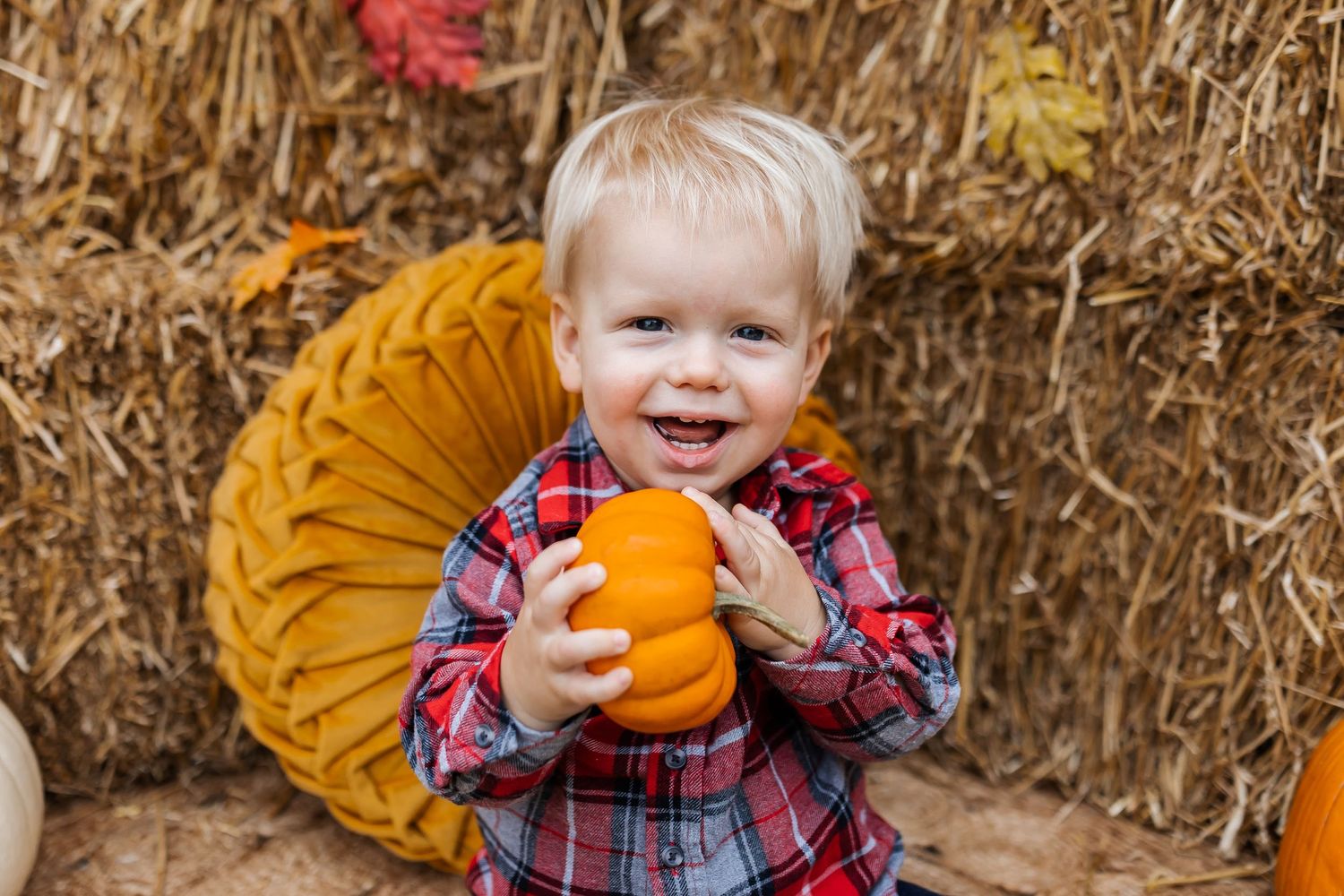 A child in plaid holds an orange pumpkin while surrounded by autumn decorations.