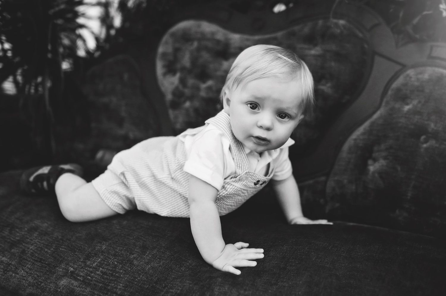 Set of artistic black and white portraits with dramatic lighting and shadows.