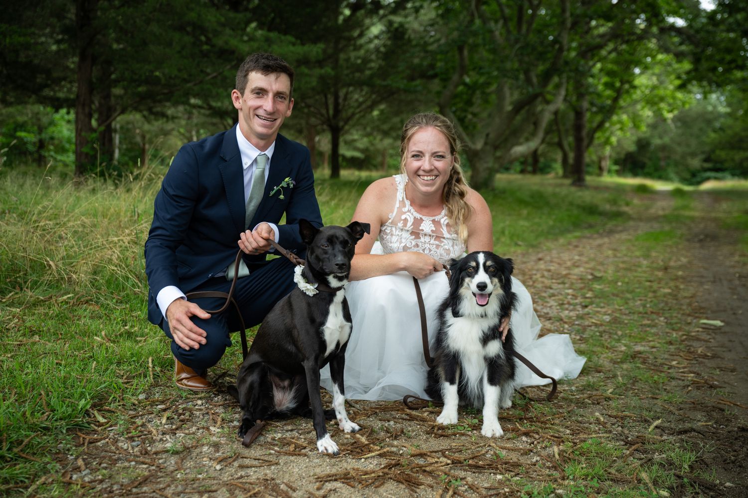 Wedding couple poses with their dogs during an outdoor photo session.