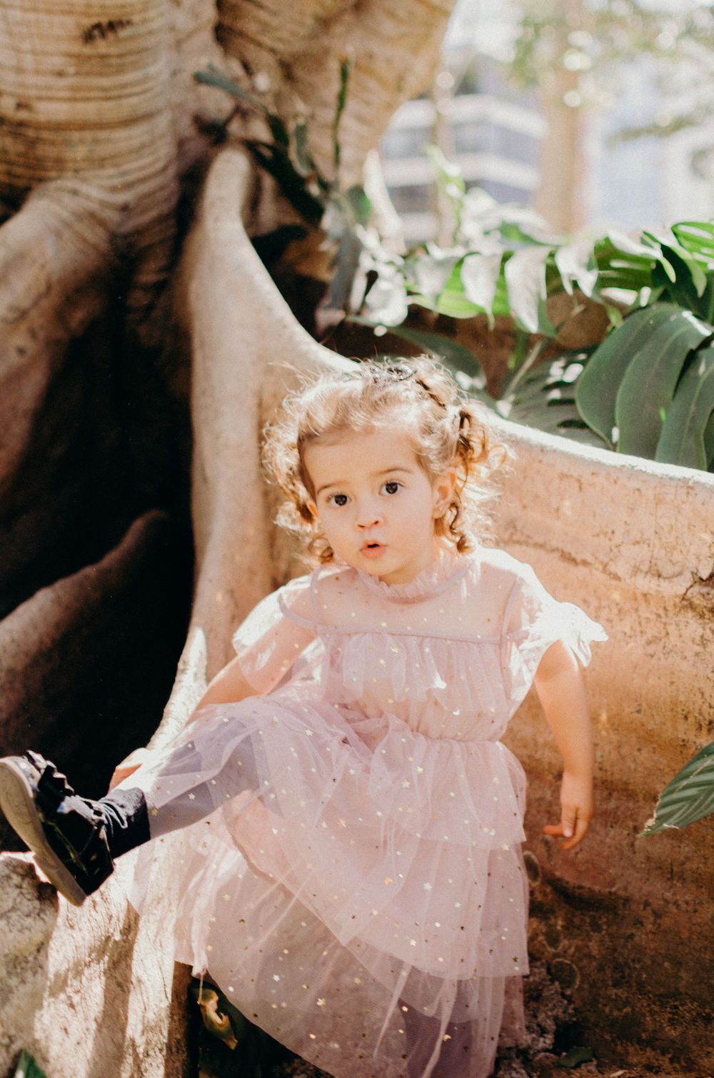 A toddler in a sparkly pink dress sits on a tree root surrounded by greenery.
