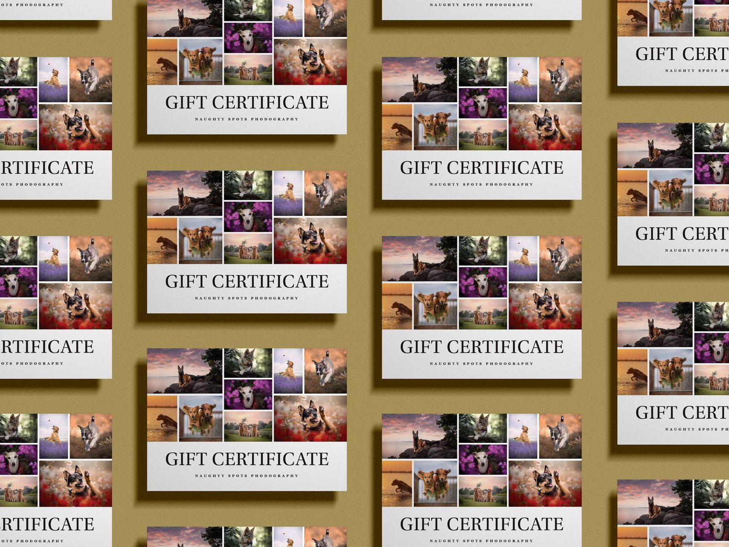 gift certificates for photography services arranged in a pattern