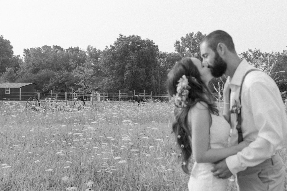 Romantic black and white portrait of couple in wildflower meadow.