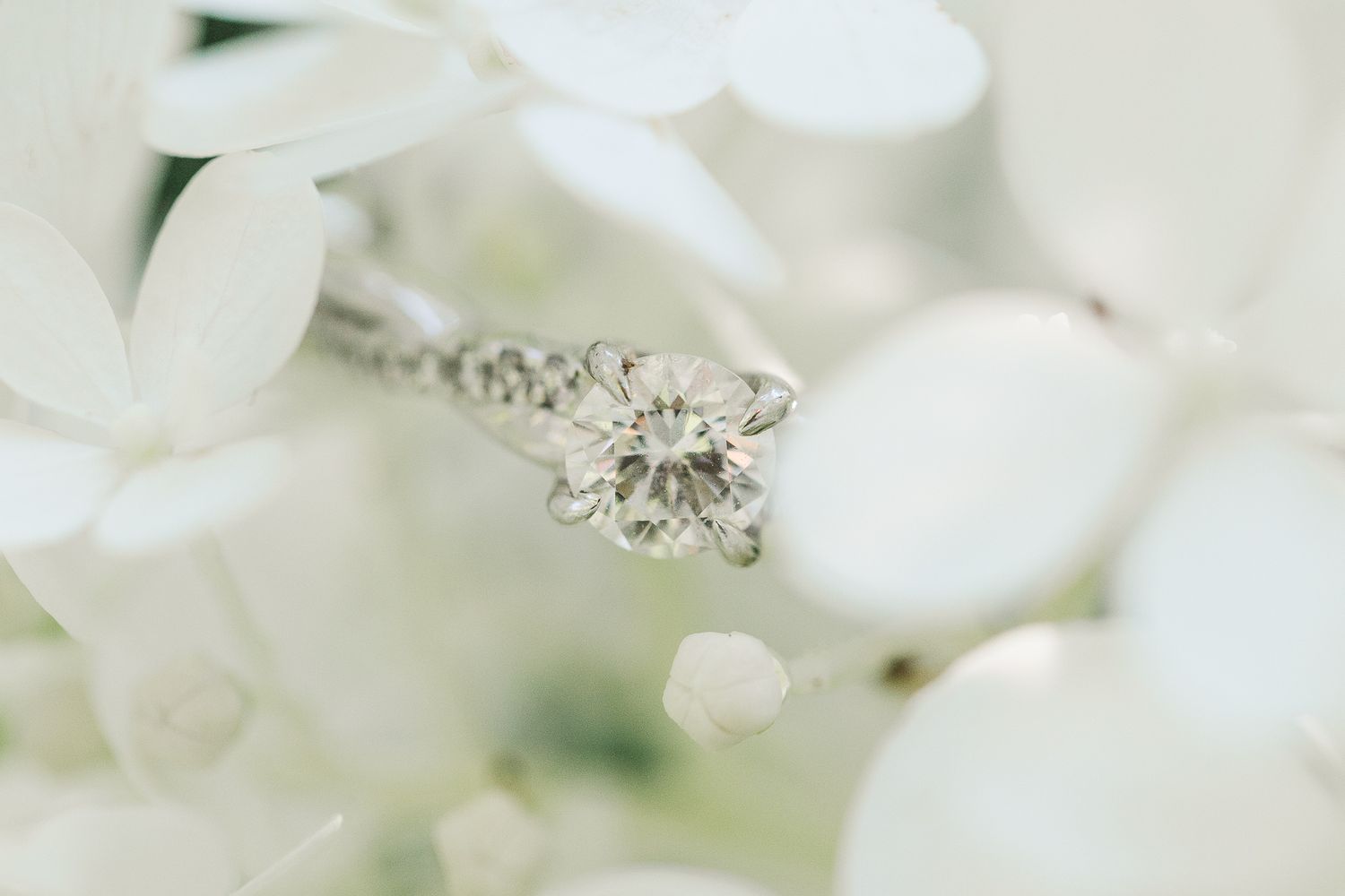 MEADOWLARK VIRGINIA ENGAGEMENT PICTURES