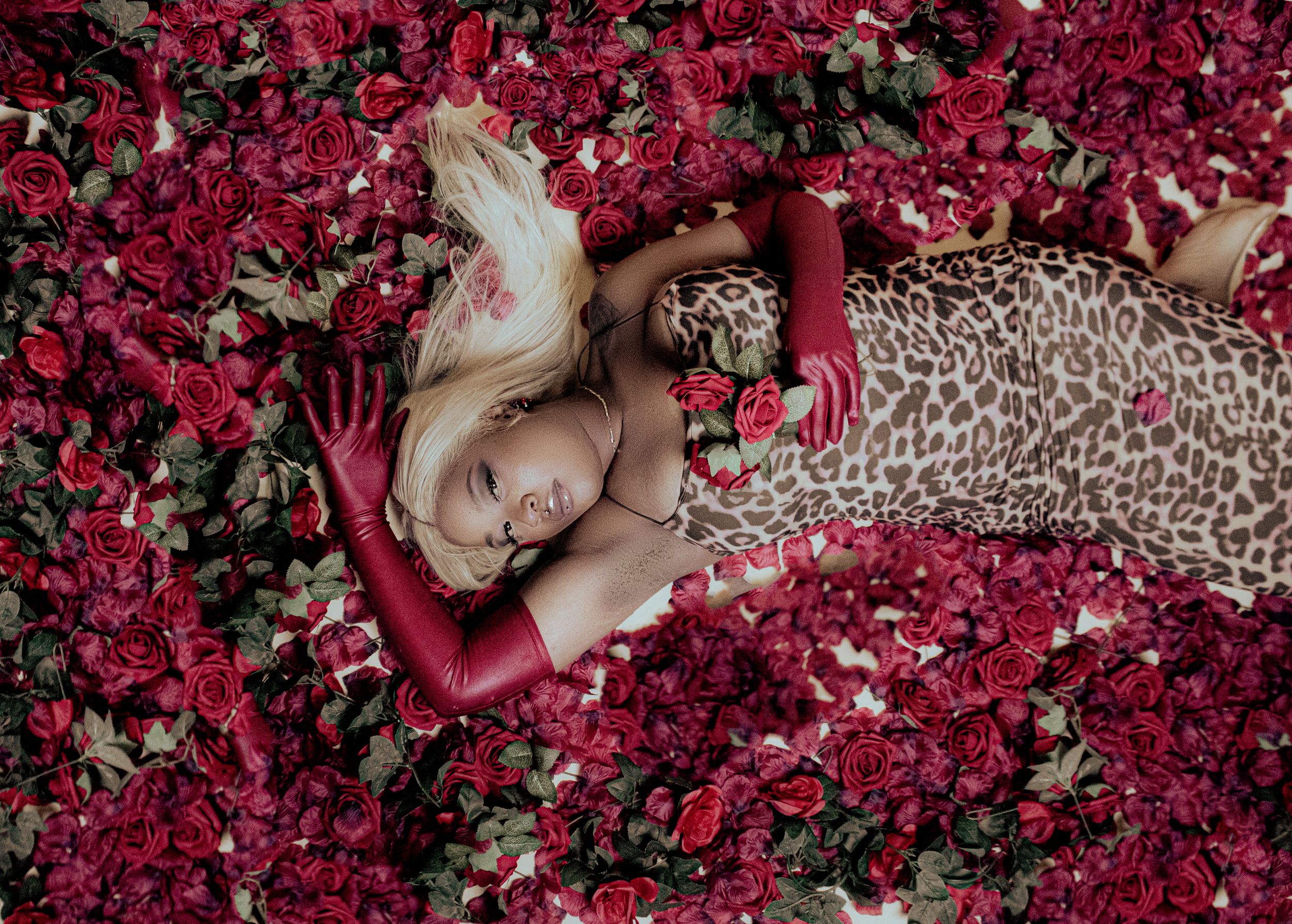 Person lying in bed of vibrant red flowers wearing leopard print dress creating dramatic contrast.