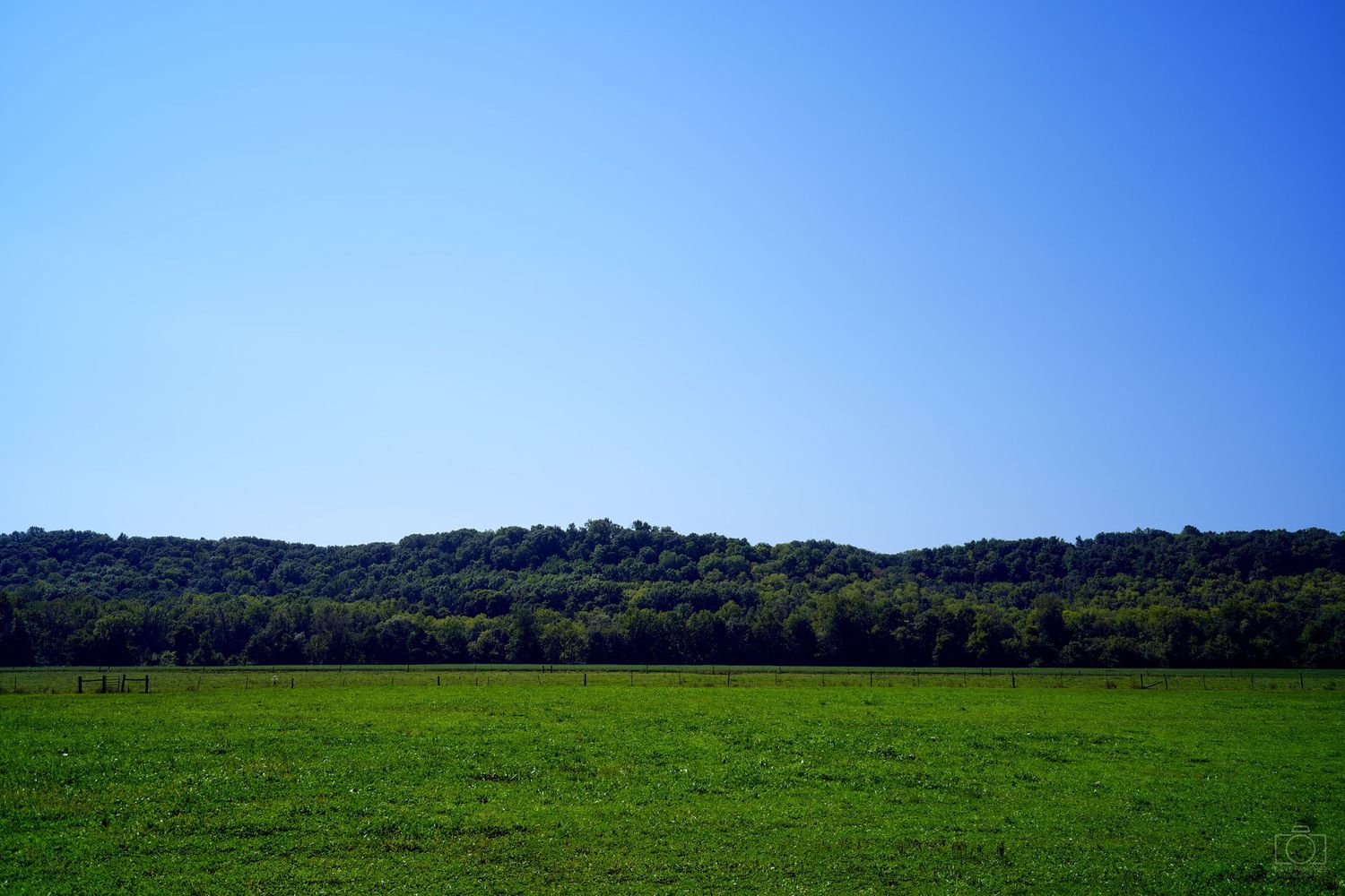 A pasture in Metamora, Indiana