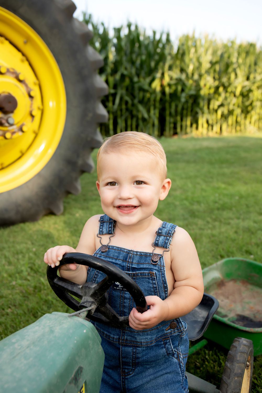 Young child in denim overalls plays on green toy tractor near cornfield.