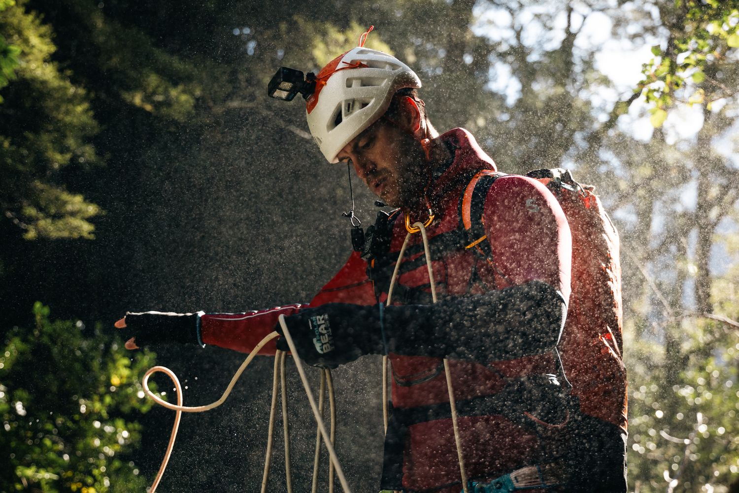 Golden sunlight filtering through trees as adventurers set up photography equipment.
