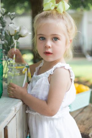 Lemonade stand mini.