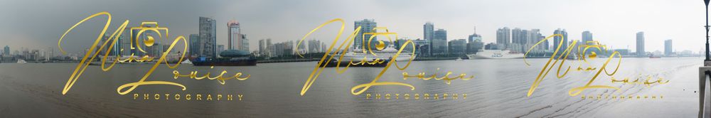 SHANGHAI CITY SCAPE