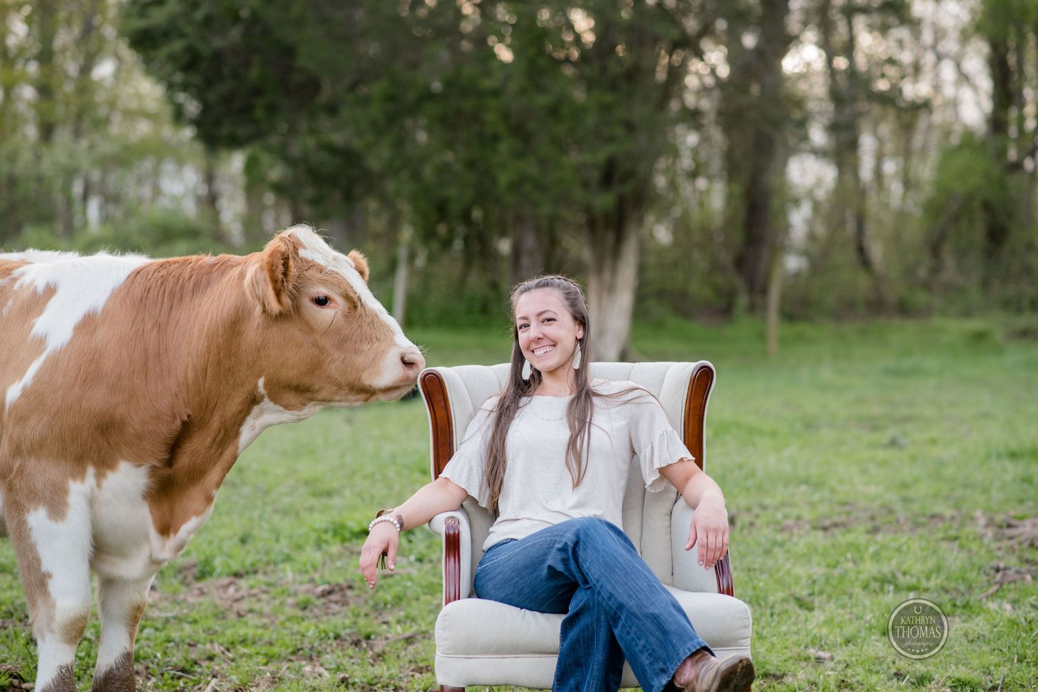 A brown and white cow approaches someone sitting in an armchair outdoors.