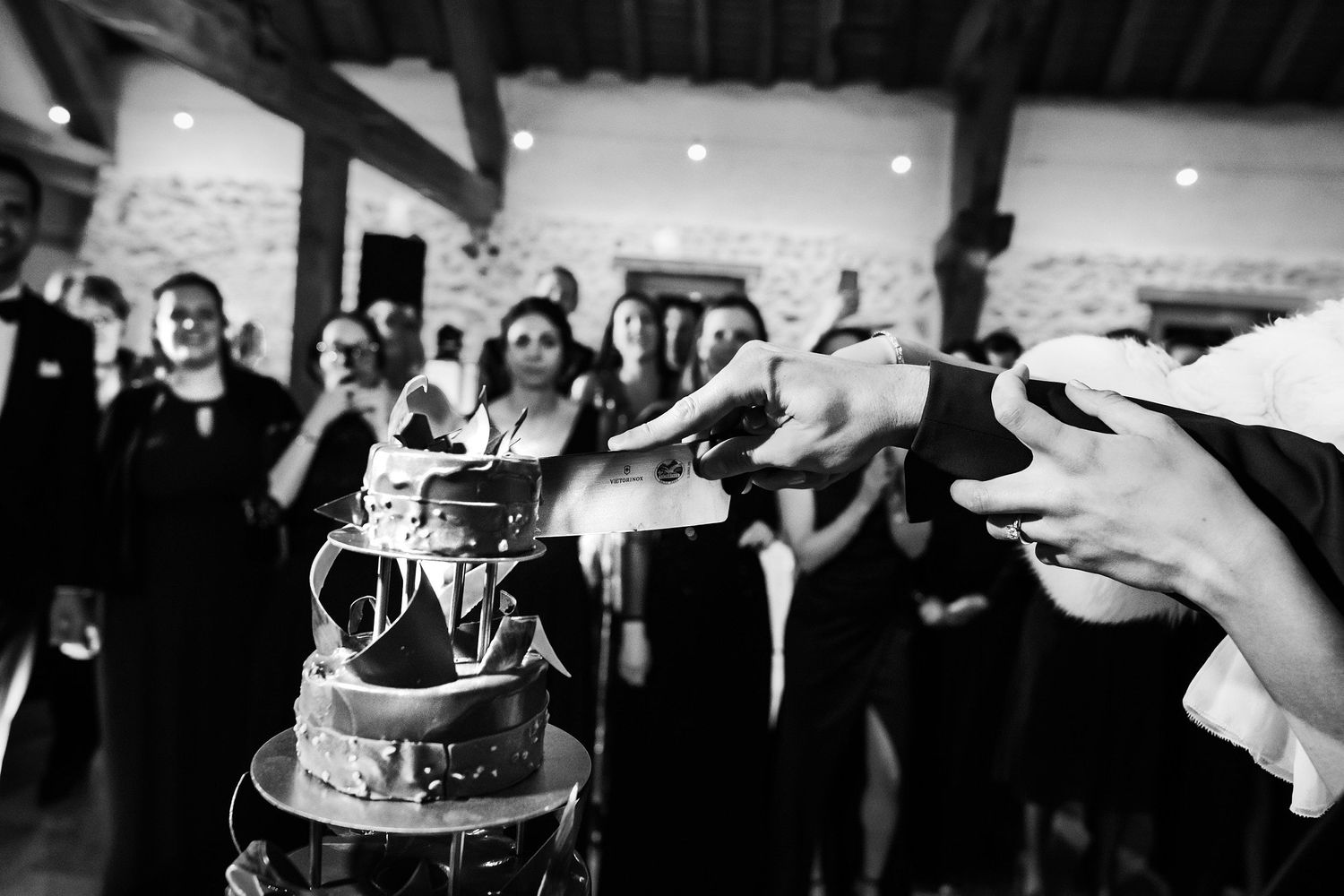 TLOOK photographe de mariage de style documentaire, aux portes des iris coupe du gâteau