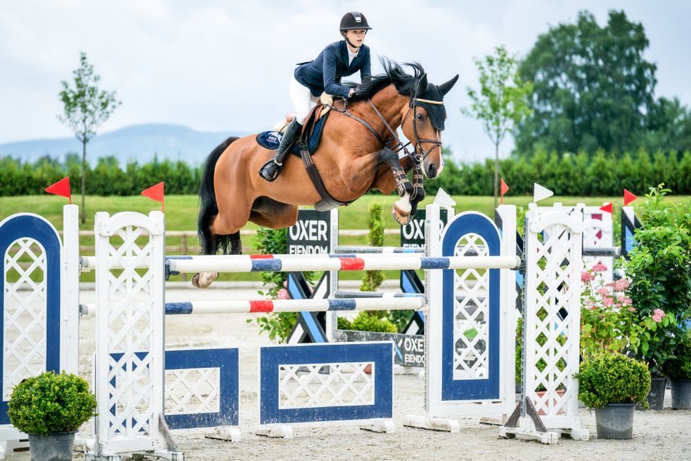 A bay horse clearing a decorated show jumping fence in an outdoor arena.