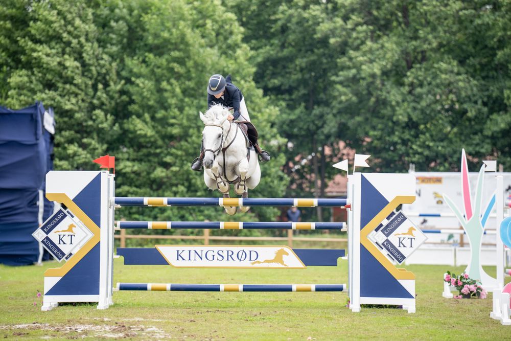 Horse and rider jumping over blue and white obstacle during showjumping competition.