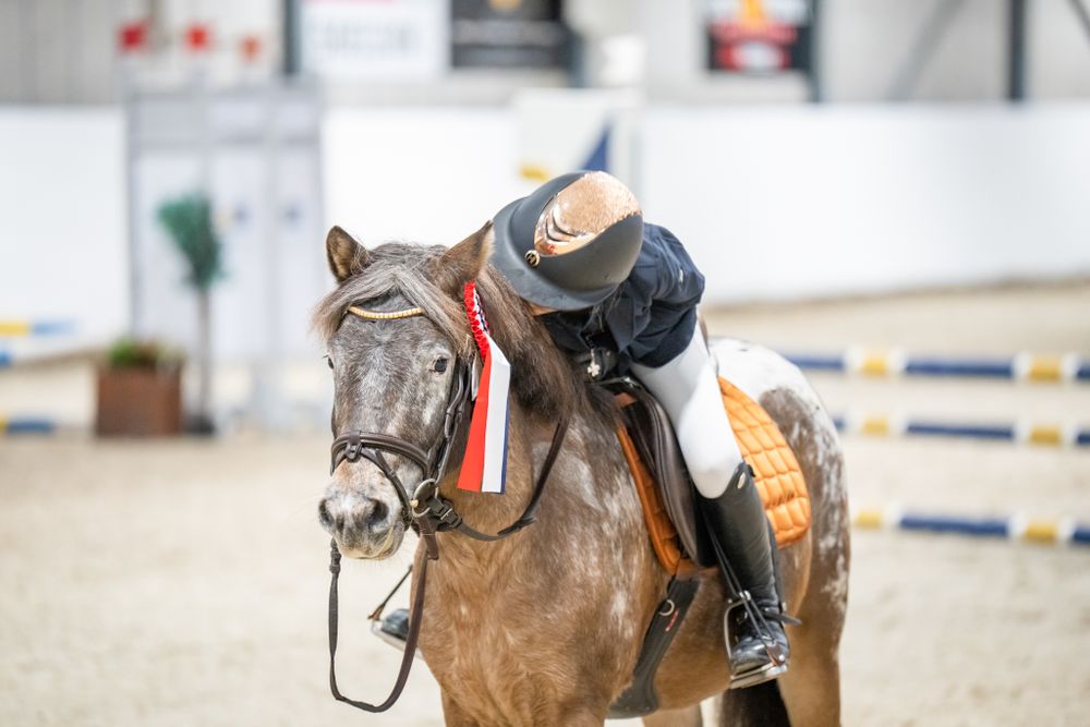 Closeup of horse wearing competition tack during equestrian event.