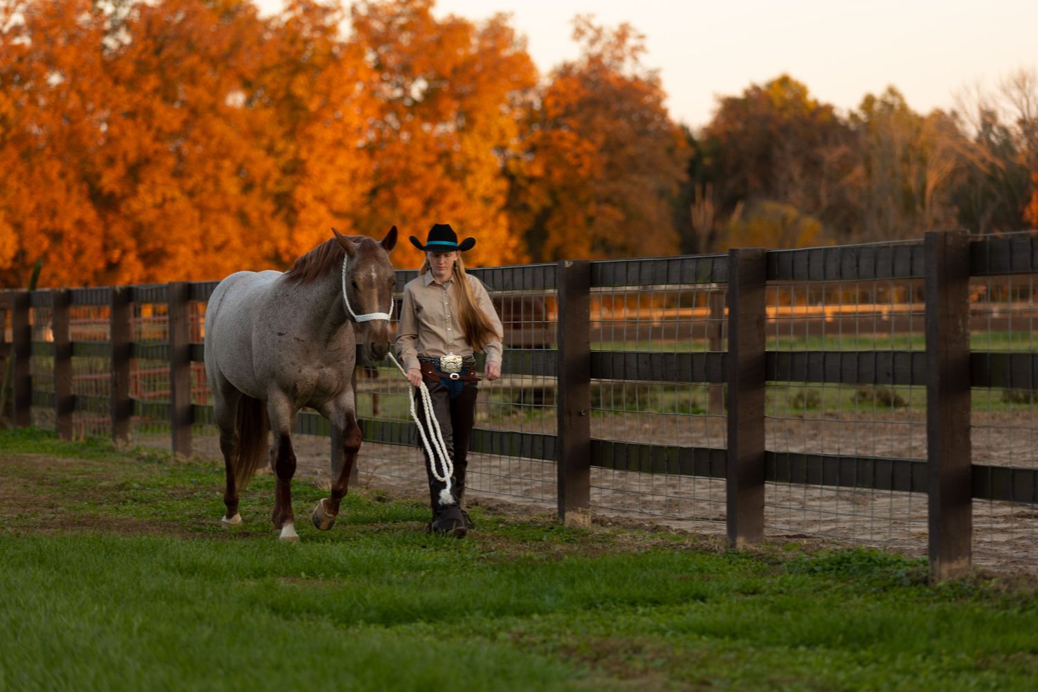 Heartville, Illinois native walks her roan quarter horse down a fence line in a autumn evening stroll.