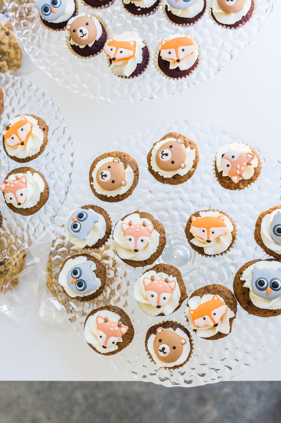 Kid's birthday party cupcakes decorated with different woodland creatures