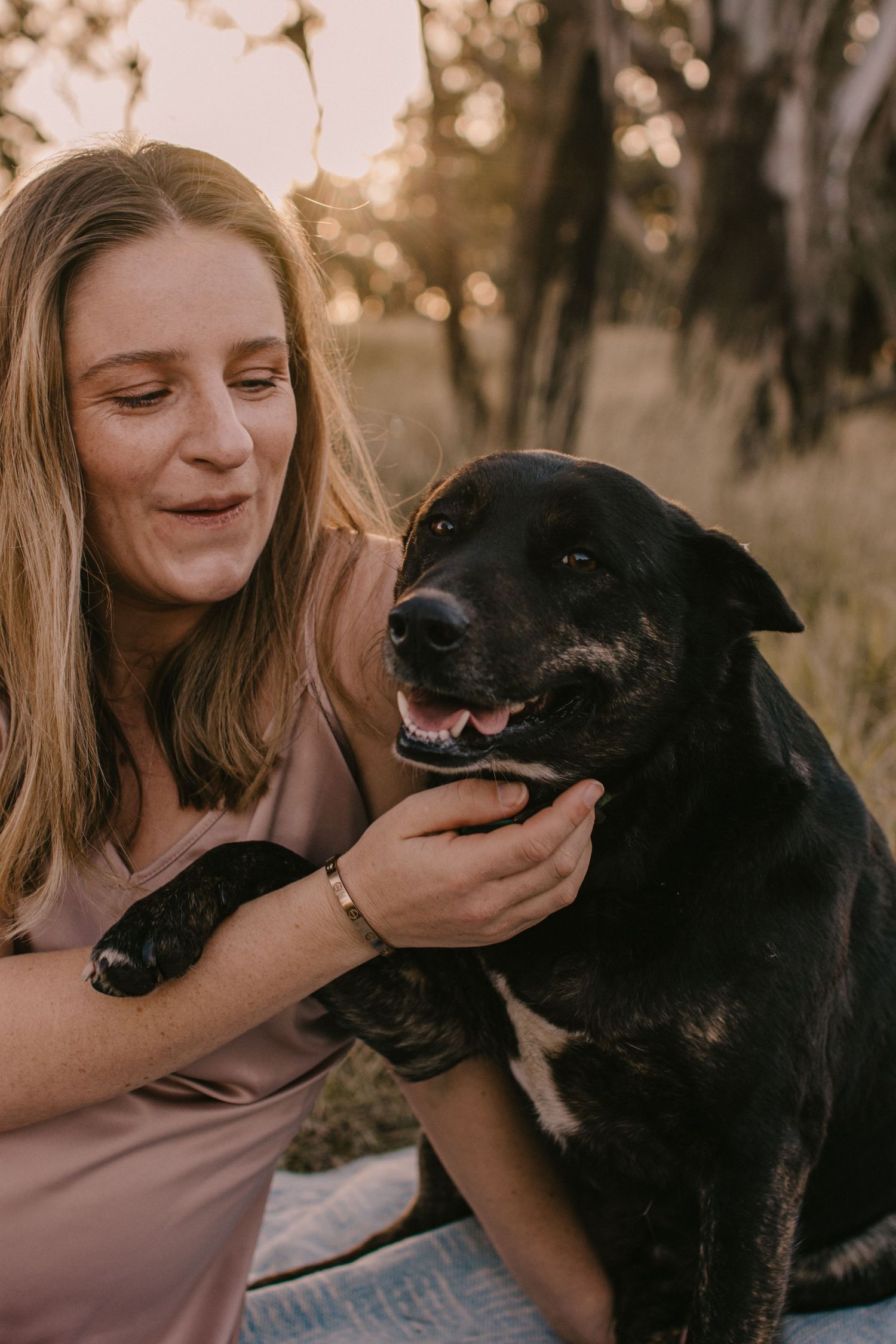 Beautiful black kelpie sitting next to her human who is pregnant. sitting in a long grass paddock.