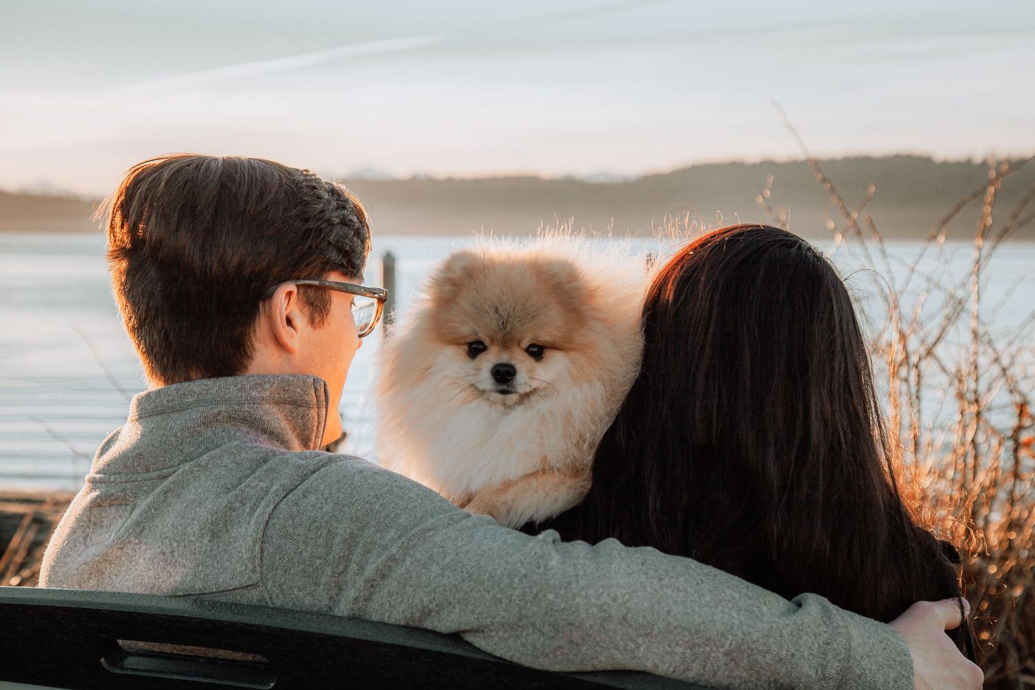 Two people with their arms around each other sit on a bench with a fluffy Pomeranian, looking out at a calm waterfront at sunset.
