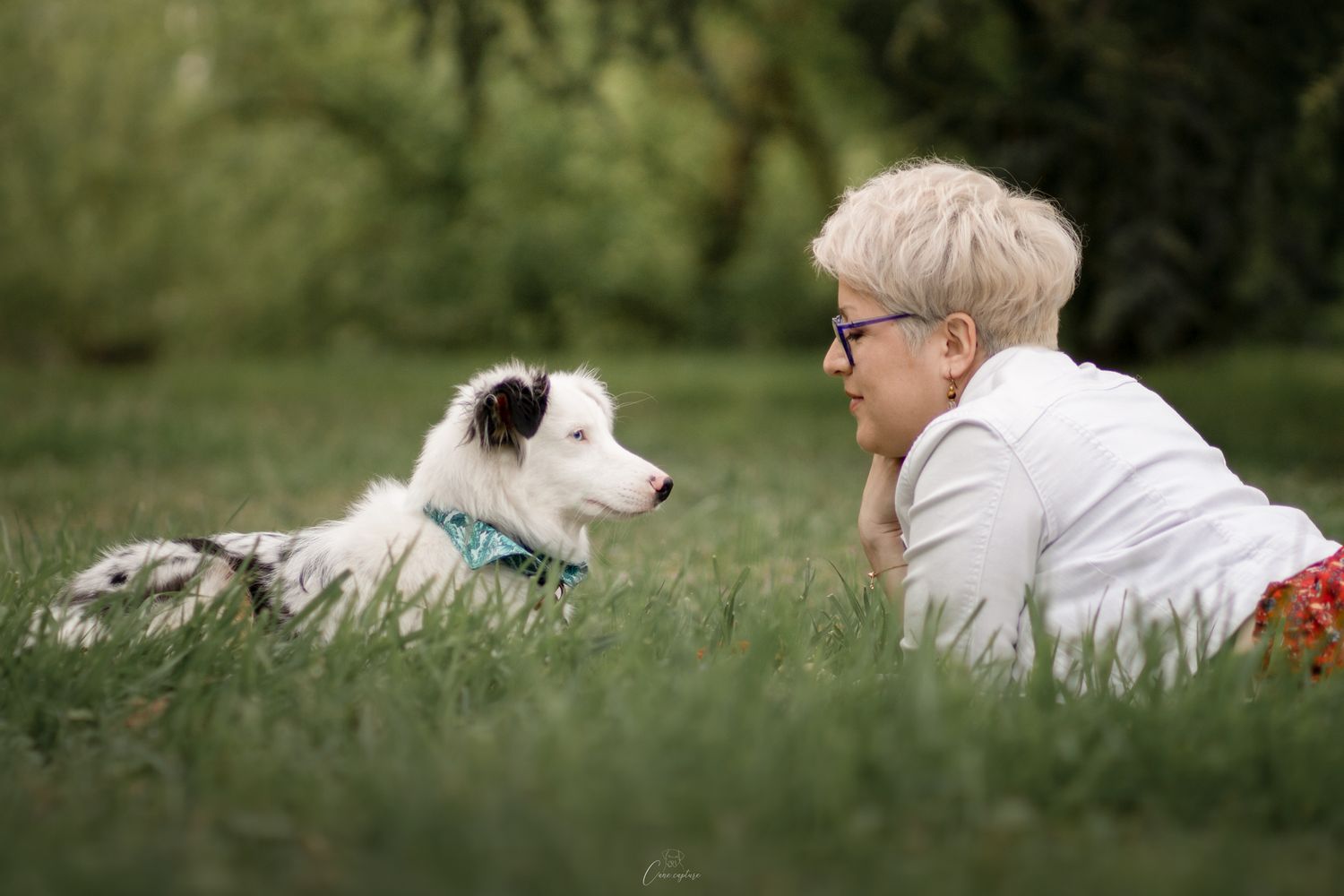 photo-chien-exterieur-tours-saint-malo-chloe-frigo