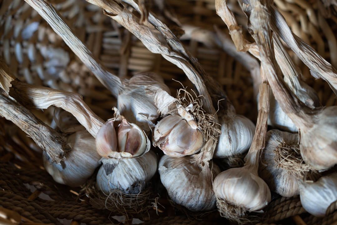 aglio di Sardegna