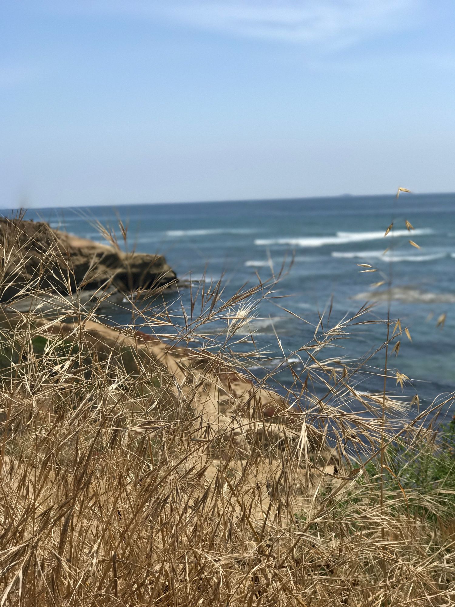 San Diego Oceanview