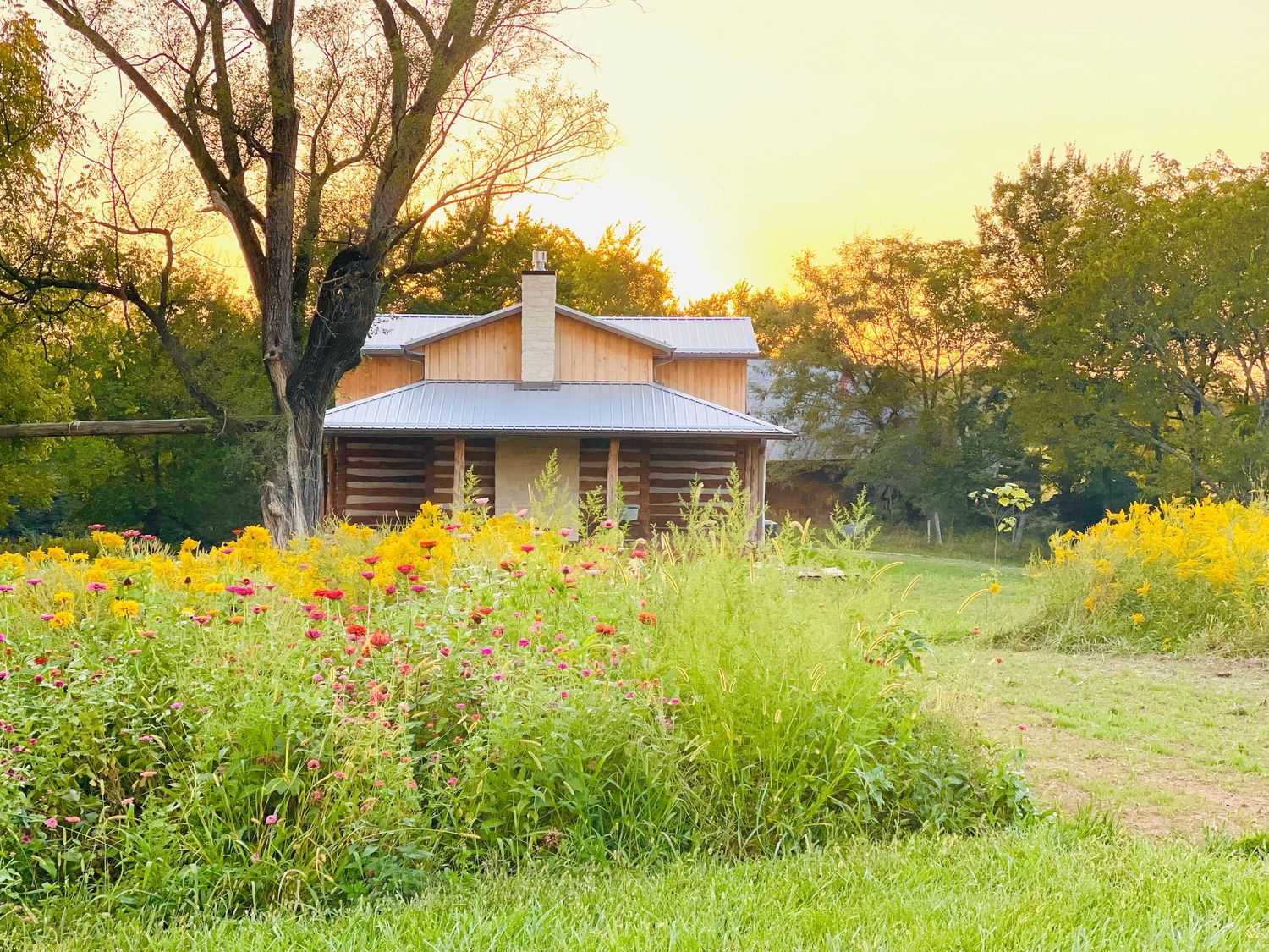 The Studio JMS Photography