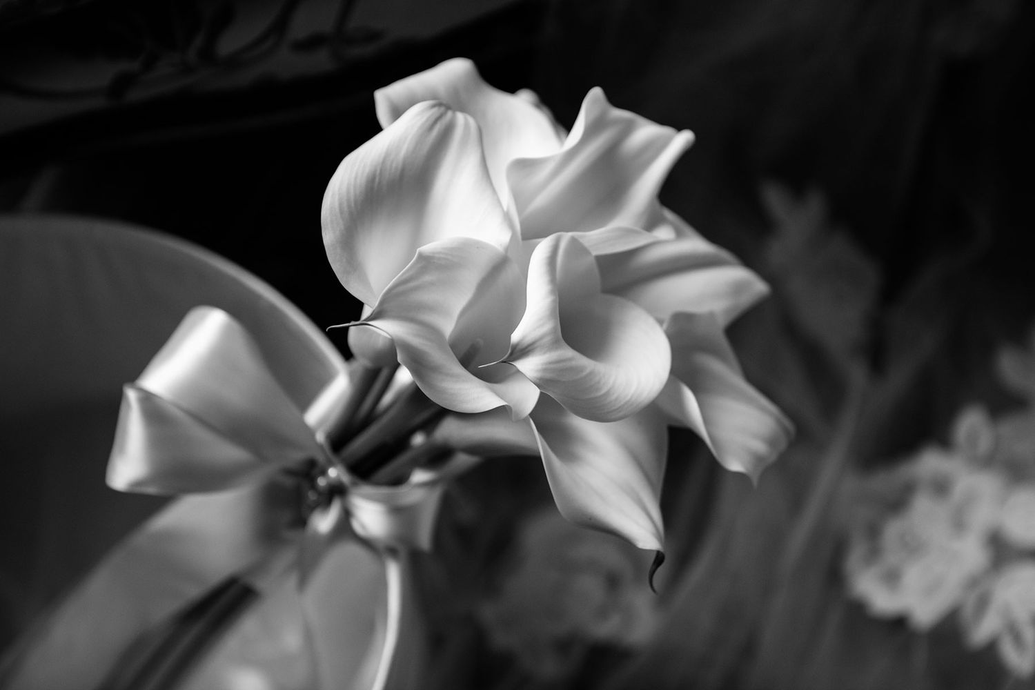 black and white photograph of a bouquet of lilies