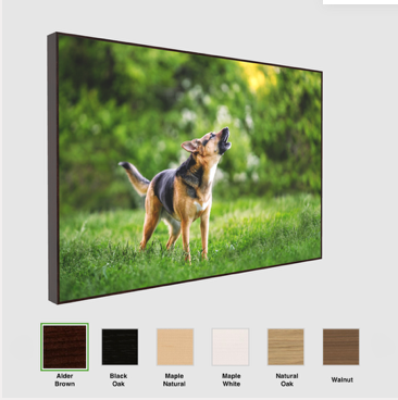 Cherish canine beauty with a Fetch Light Photography metal print. Ideal dog art for your space in Wildomar, CA