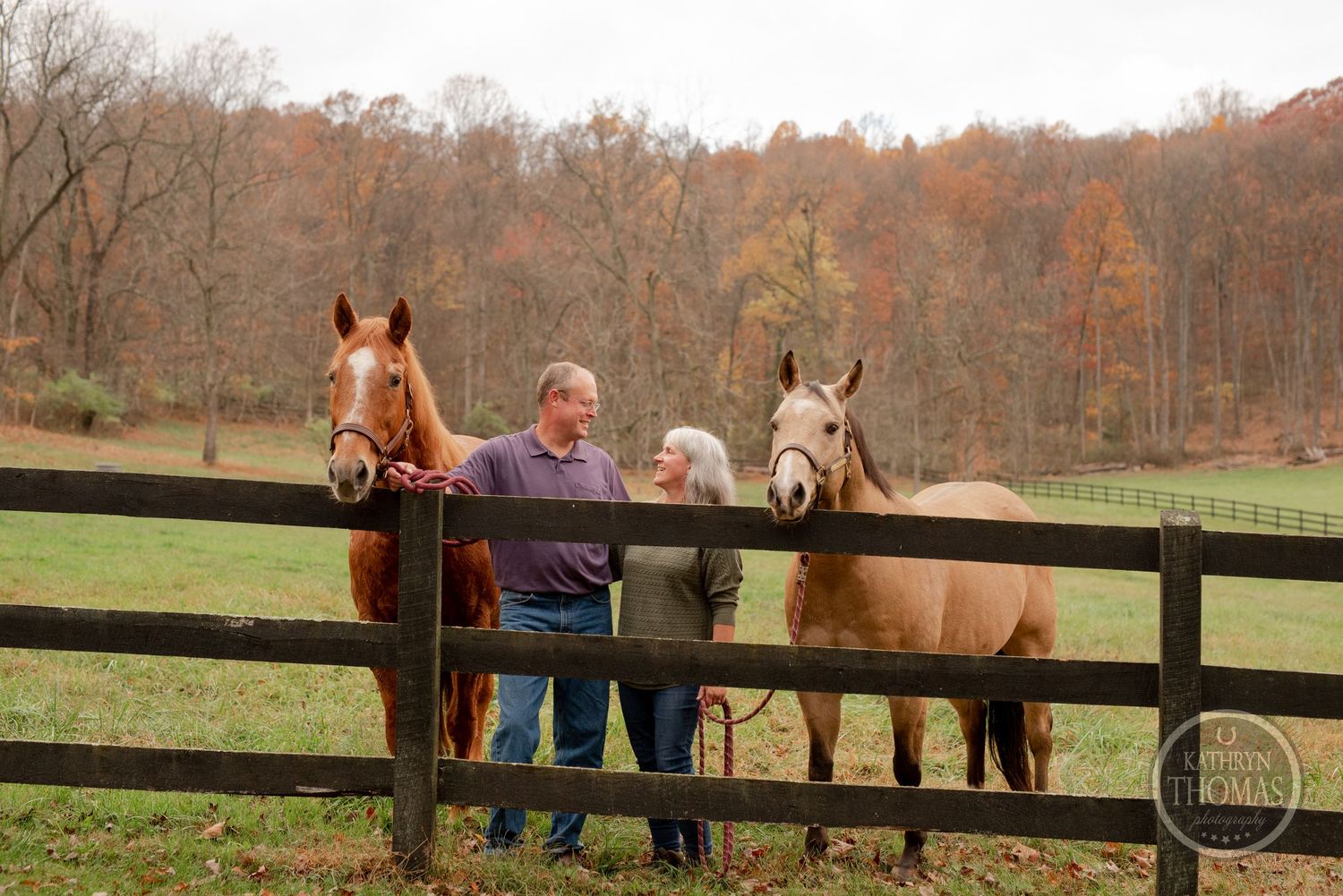 A chestnut and white horse flank visitors at a wooden fence during autumn.