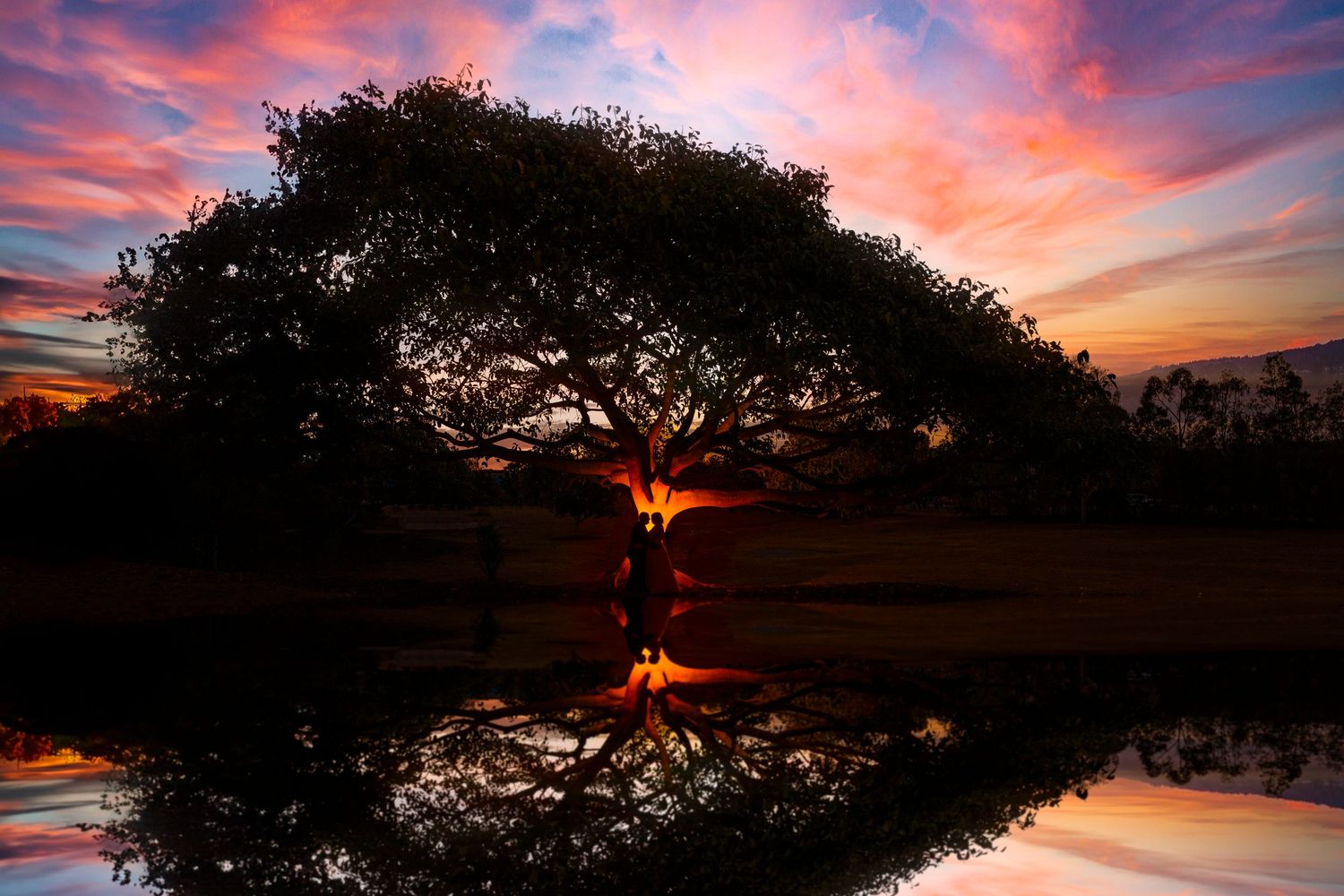 Beautiful tree silhouette against dramatic orange and pink sunset with water reflection.