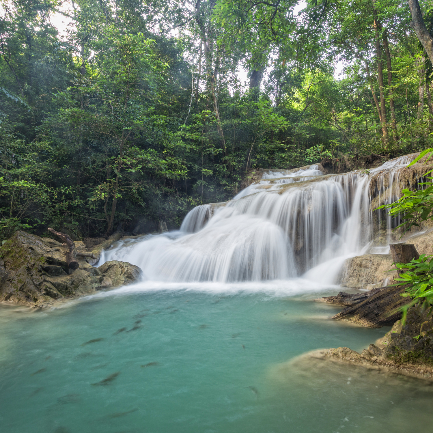 A serene waterfall cascades into a turquoise pool surrounded by lush green forest.