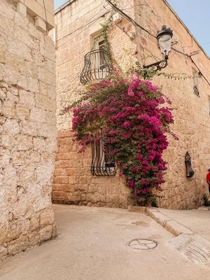 Malta