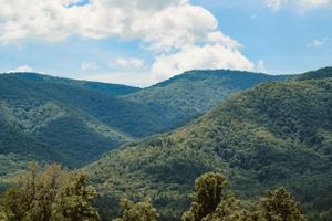Gatlinburg, TN