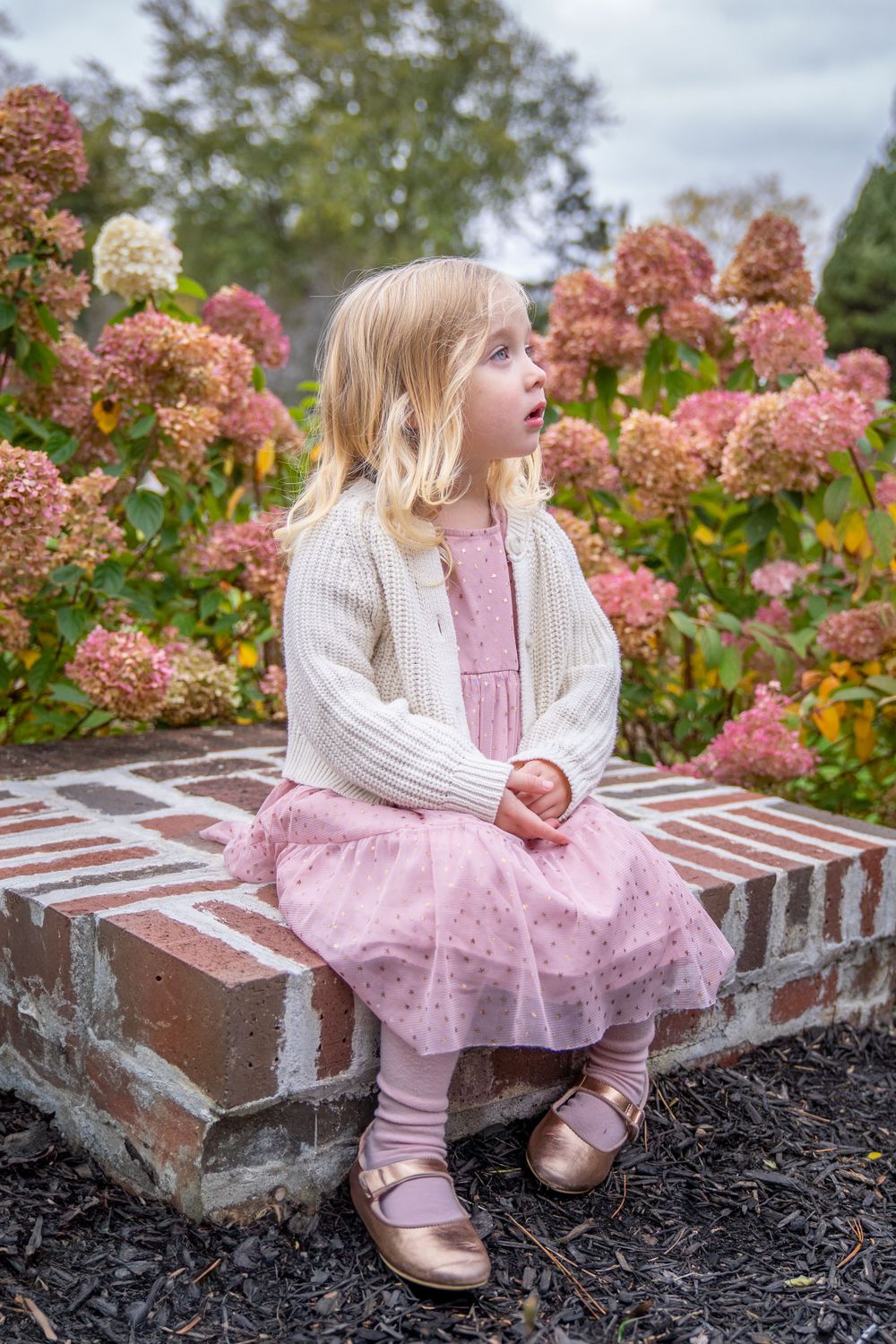 Young girl in pink dress and white sweater sitting on brick wall near blooming hydrangea flowers.