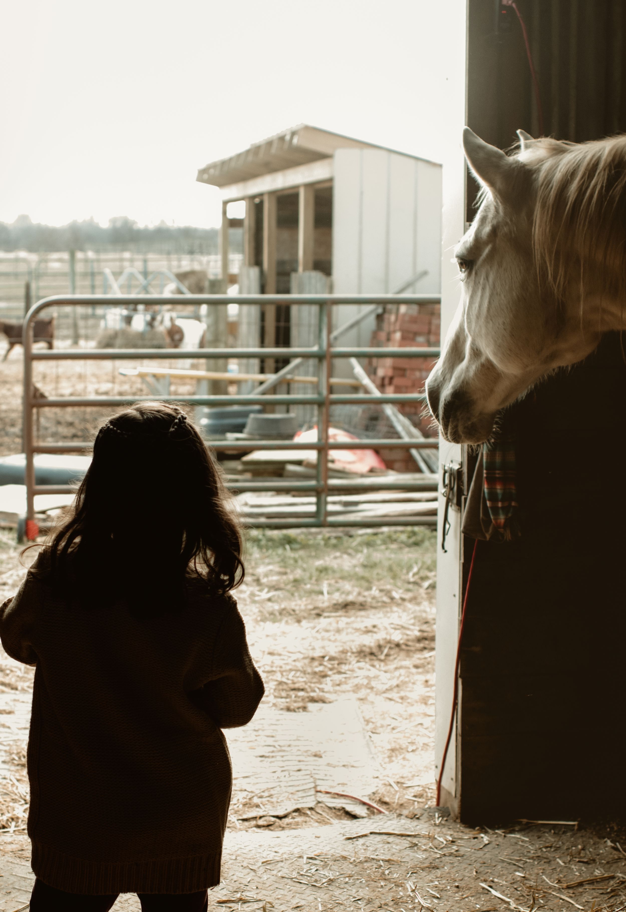 Western little girl and horse